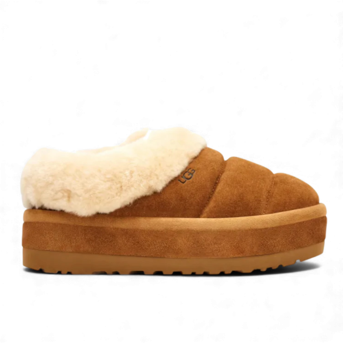 UGG Tazzlita 2596