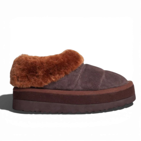 UGG Tazzlita Hardwood