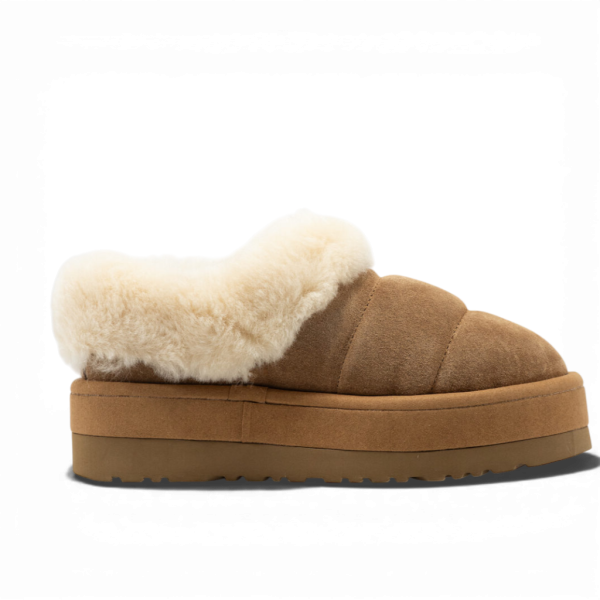 UGG Tazzlita Chestnut Brown